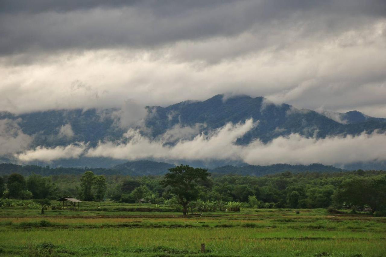 Kaewma Farmstay Khuang Kom Eksteriør billede