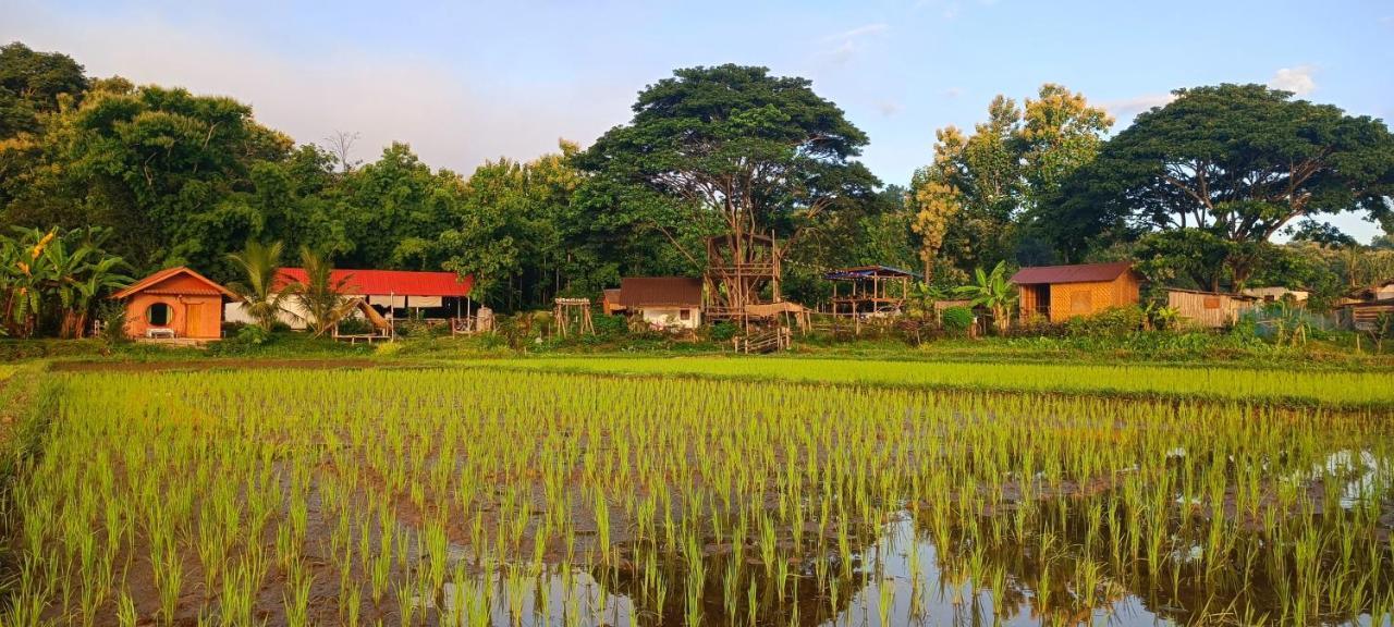 Kaewma Farmstay Khuang Kom Eksteriør billede