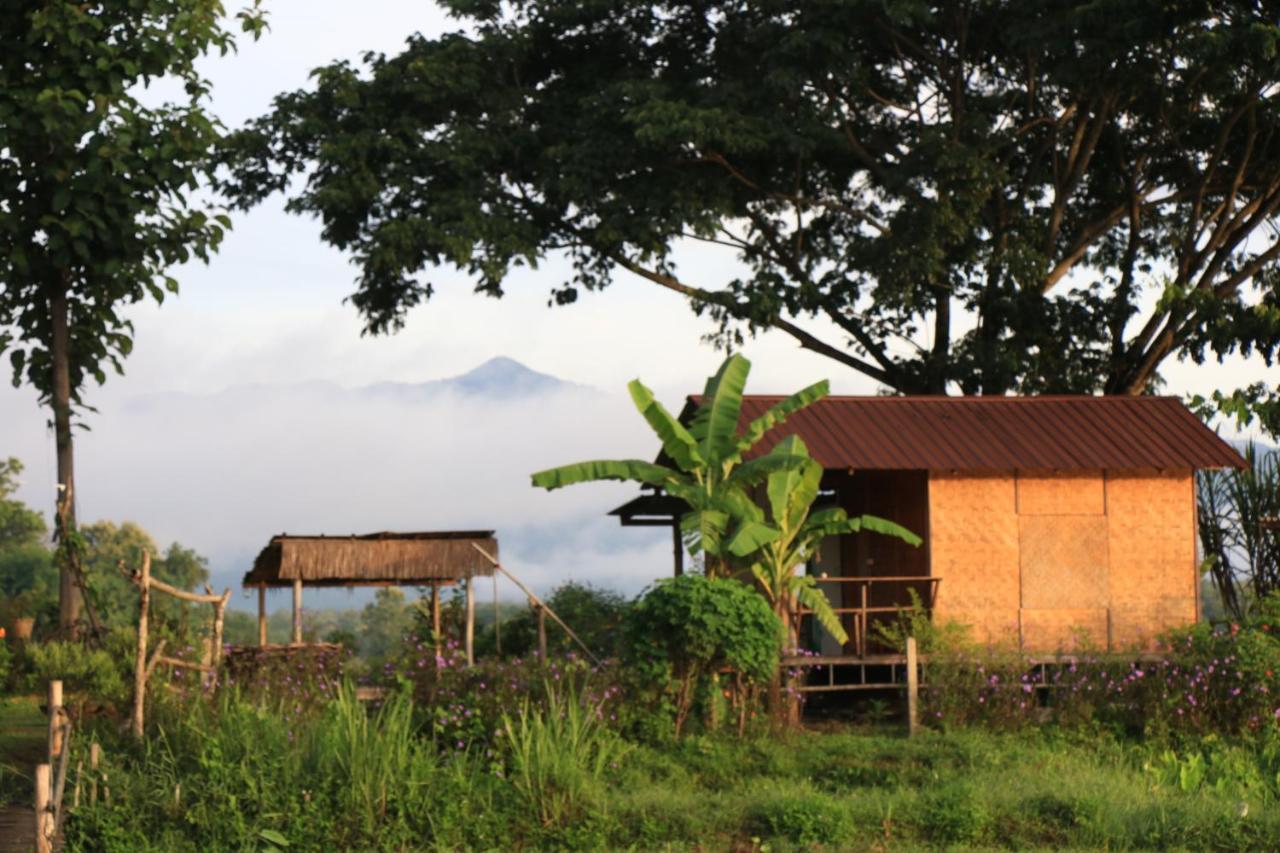 Kaewma Farmstay Khuang Kom Eksteriør billede