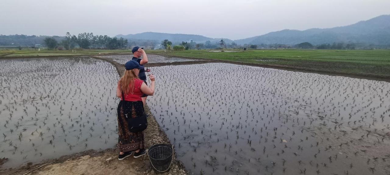Kaewma Farmstay Khuang Kom Eksteriør billede