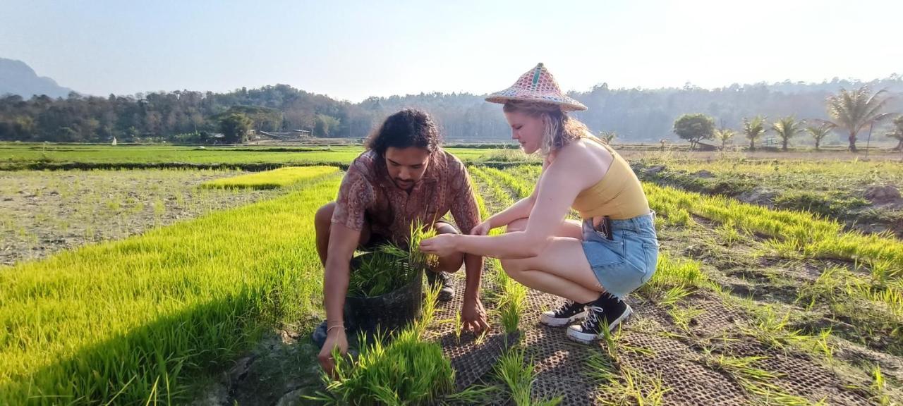 Kaewma Farmstay Khuang Kom Eksteriør billede