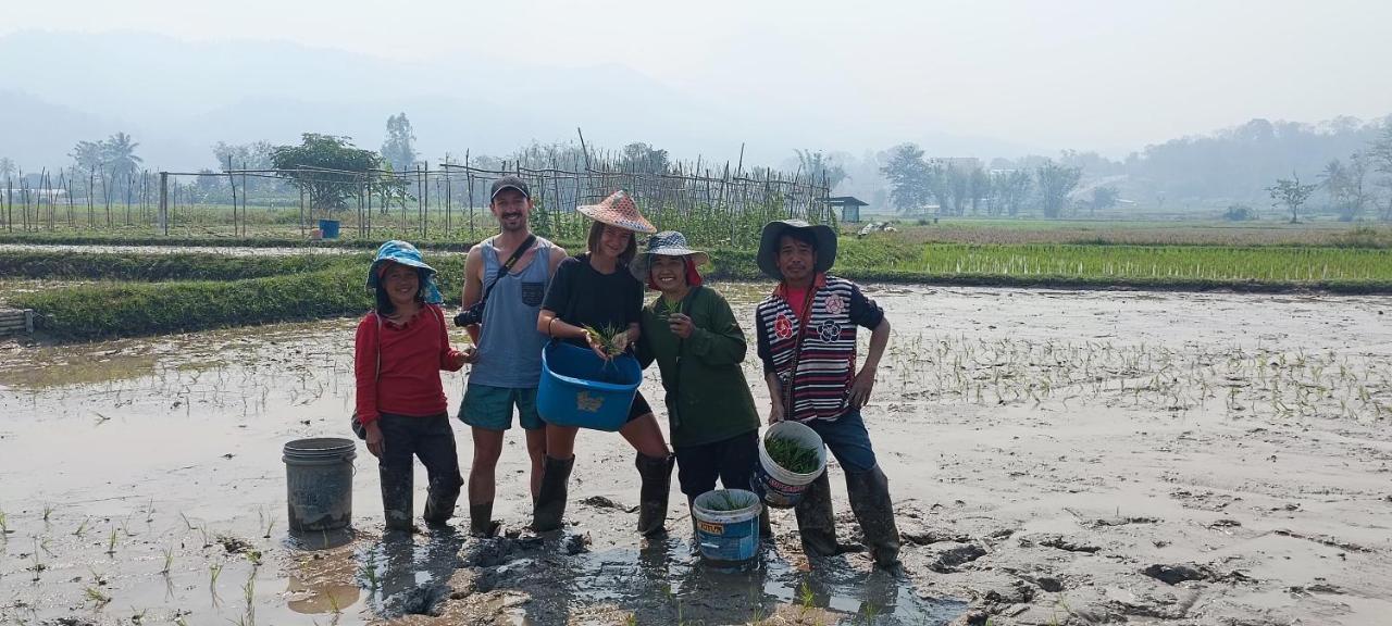 Kaewma Farmstay Khuang Kom Eksteriør billede