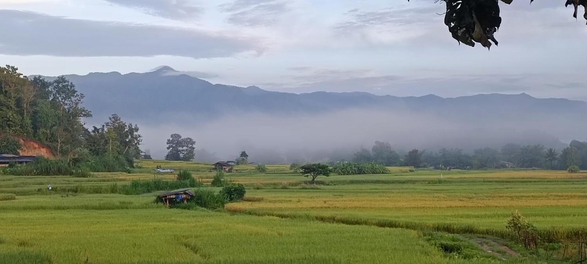 Kaewma Farmstay Khuang Kom Eksteriør billede