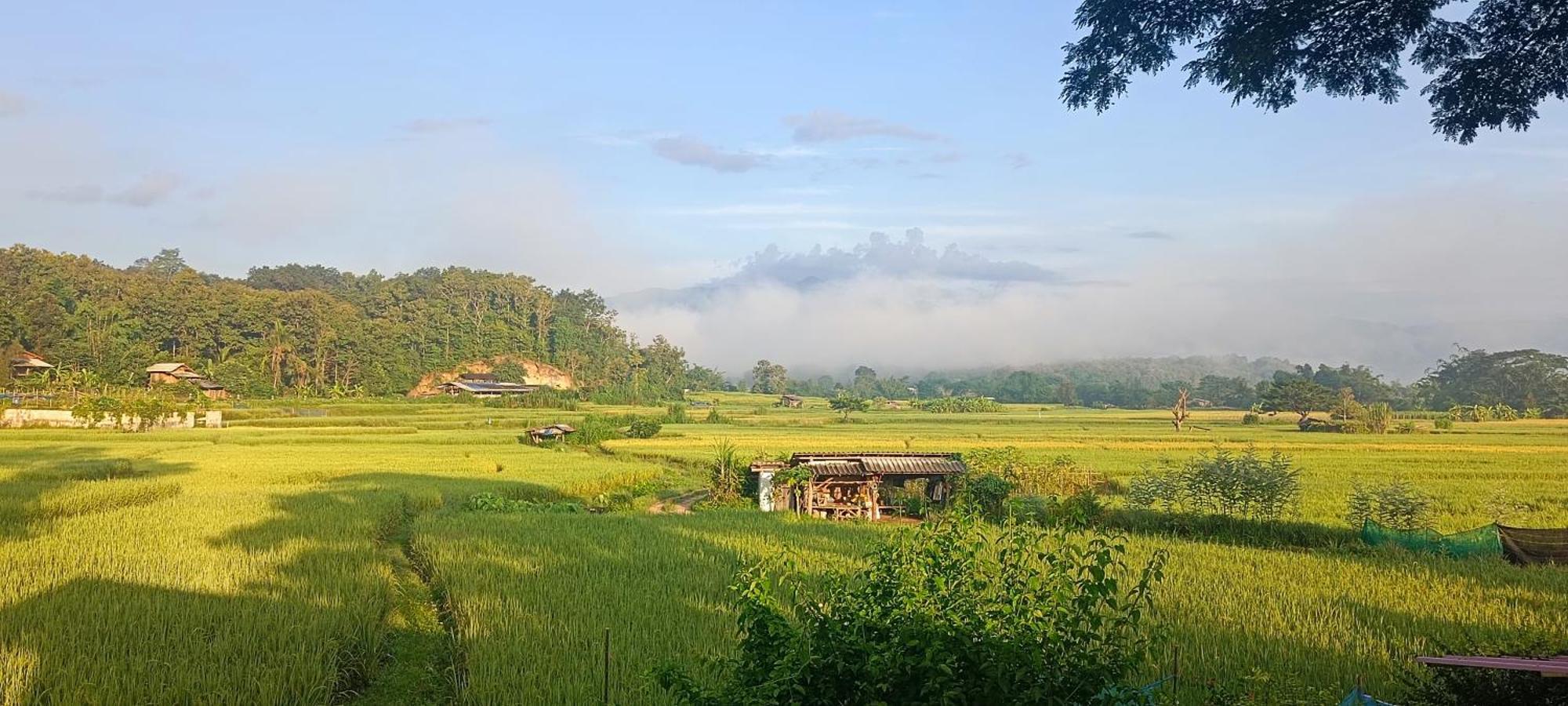 Kaewma Farmstay Khuang Kom Værelse billede