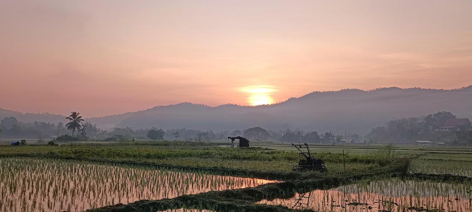 Kaewma Farmstay Khuang Kom Værelse billede