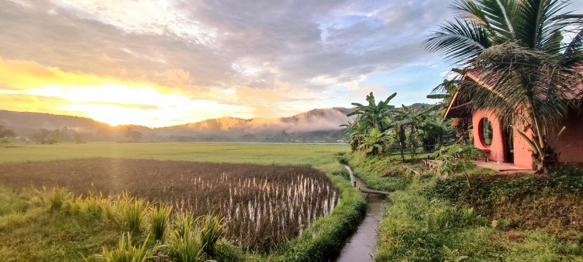 Kaewma Farmstay Khuang Kom Værelse billede